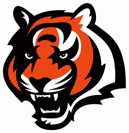 Cincinnati Bengals 1997-2003 Primary Logo DIY iron on transfer (heat transfer)
